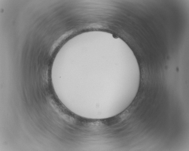 X0000051910112200507152041