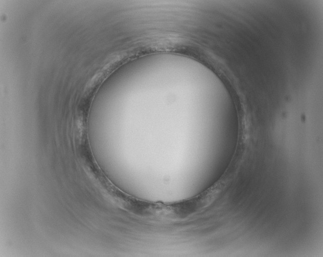 X0000051910113200507152041