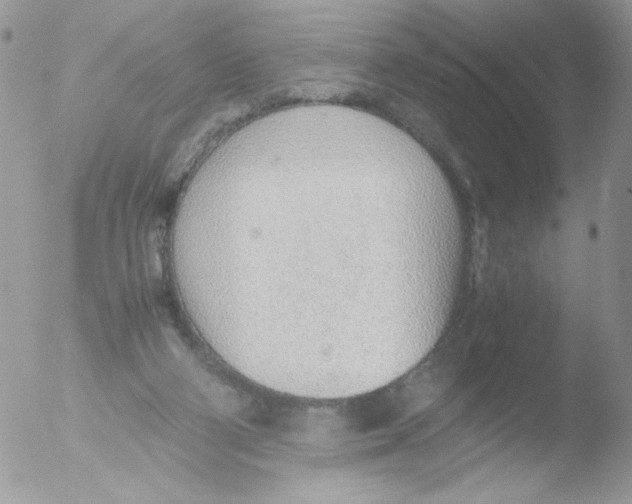 X0000051910114200507152041