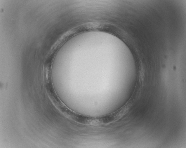 X0000051910115200507152041