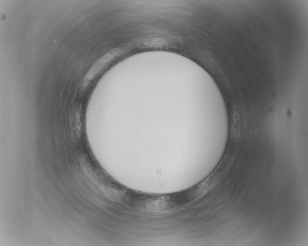 X0000051910116200507152041