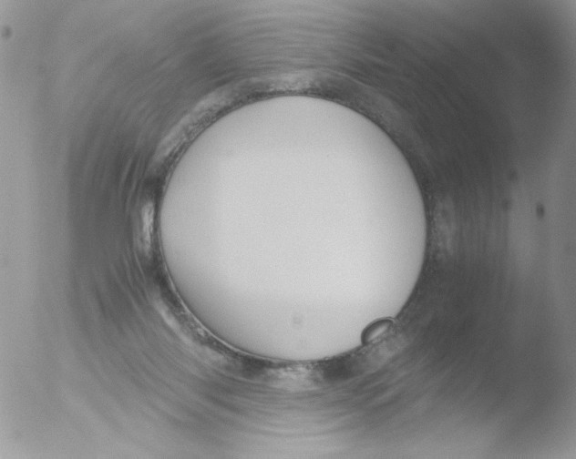 X0000051910118200507152041