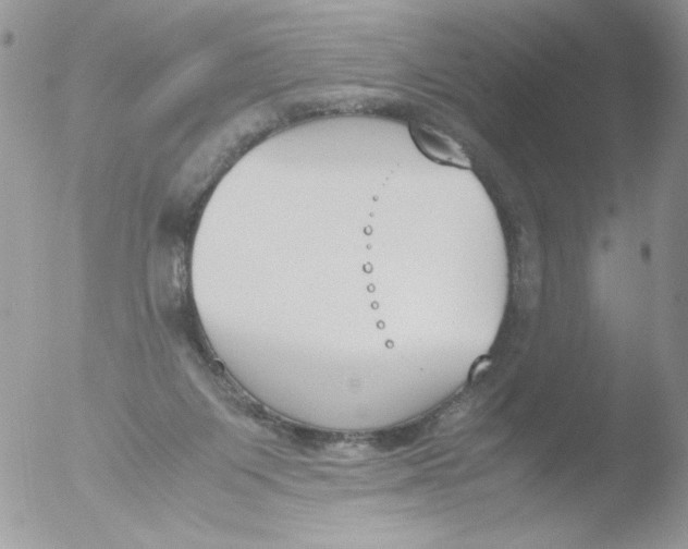 X0000051910119200507152041