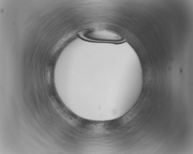 X0000051910120200507152041