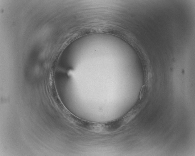 X0000051910121200507152041