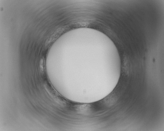 X0000051910122200507152041