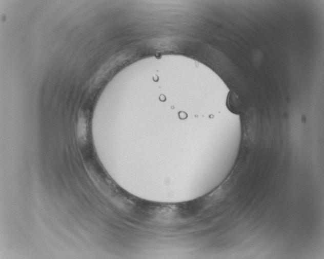 X0000051910124200507152041