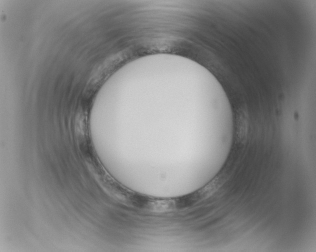 X0000051910126200507152041