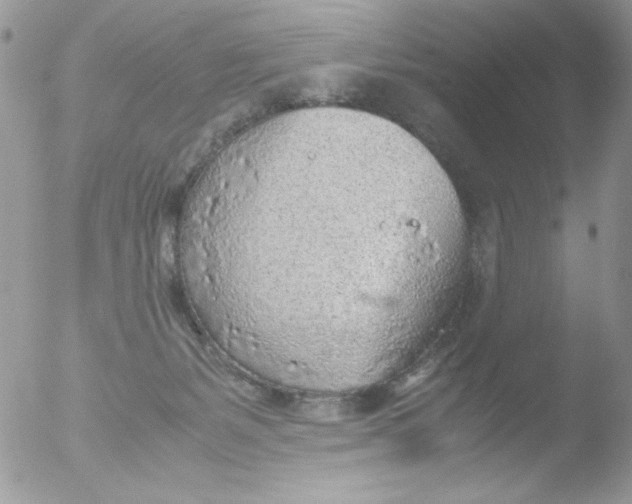 X0000051910127200507152041