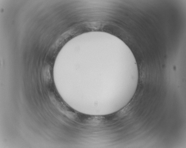 X0000051910128200507152041