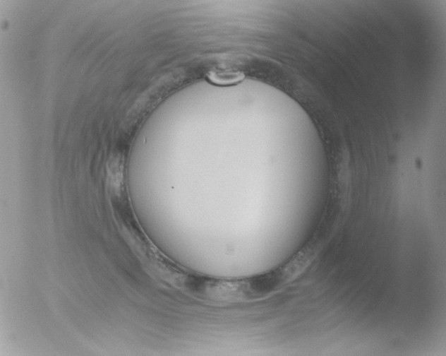 X0000051910129200507152041