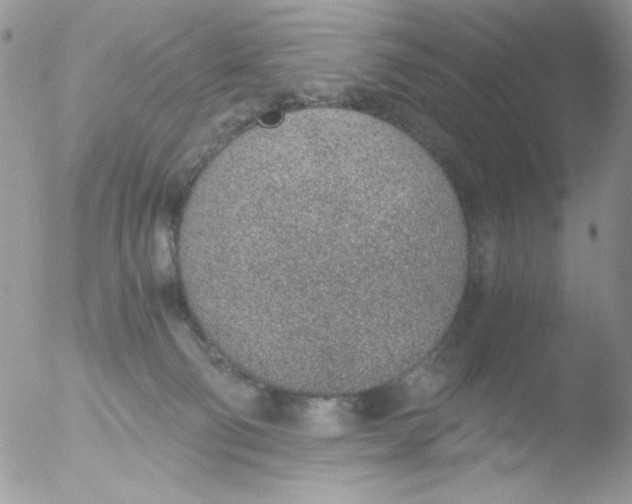 X0000051910130200507152041