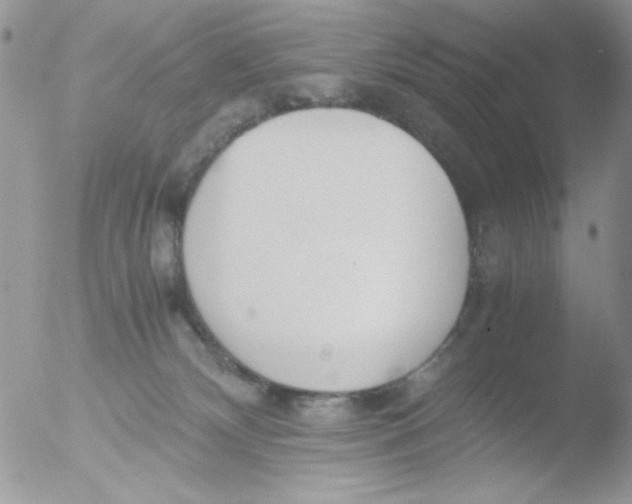 X0000051910132200507152041