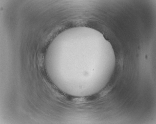 X0000051910133200507152041