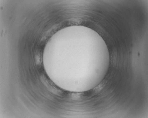 X0000051910134200507152041