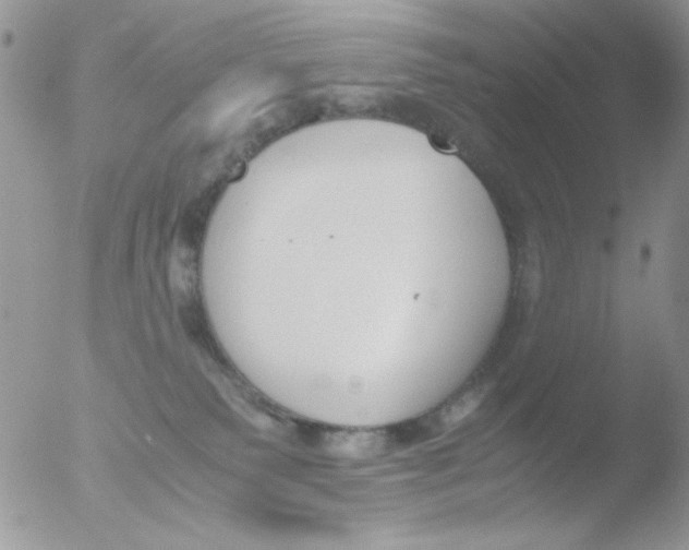 X0000051910135200507152041