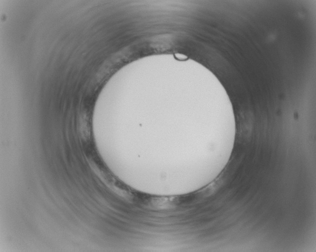 X0000051910136200507152041