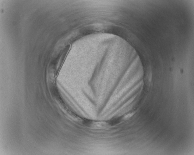 X0000051910137200507152041