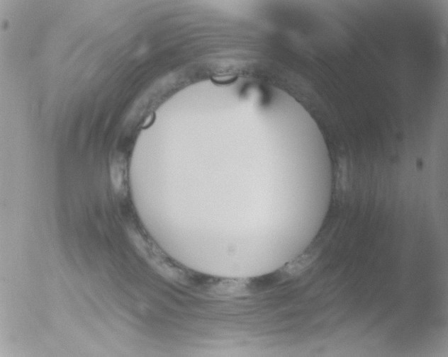 X0000051910138200507152041