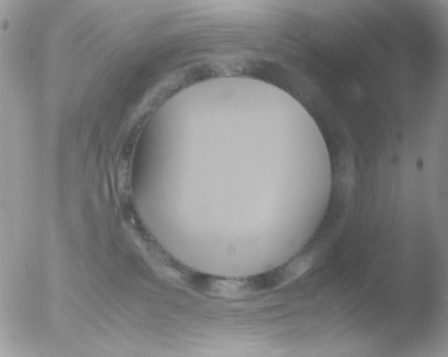 X0000051910139200507152041