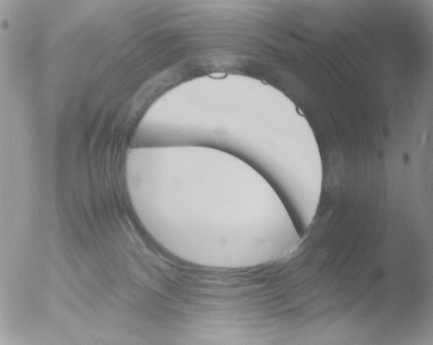 X0000051910140200507152041