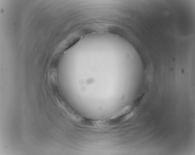 X0000051910141200507152041