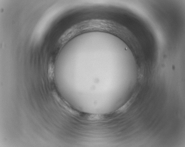 X0000051910142200507152041