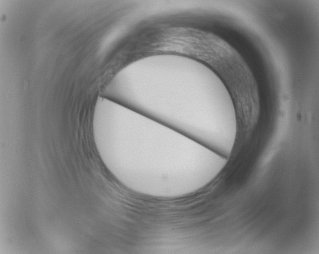 X0000051910143200507152040