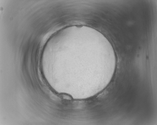 X0000051910145200507152040