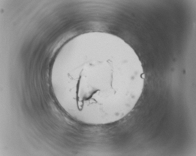 X0000051910146200507152040