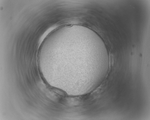 X0000051910147200507152040