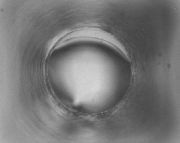 X0000051910148200507152040