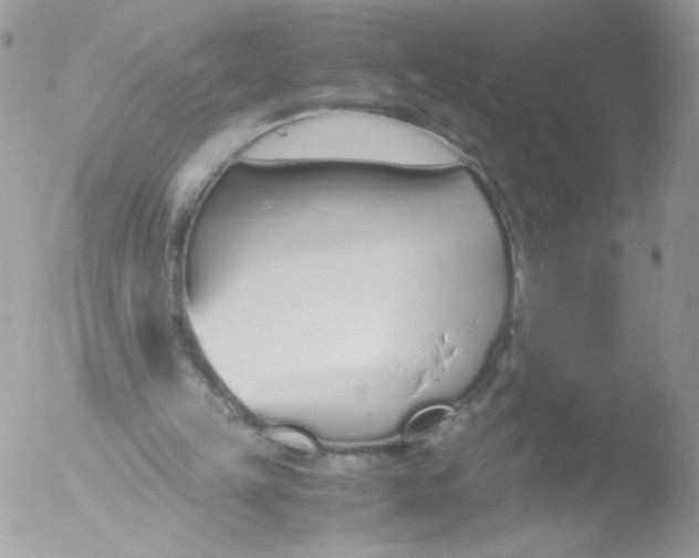 X0000051910149200507152040