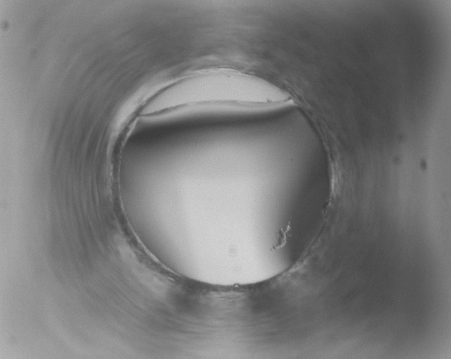 X0000051910150200507152040