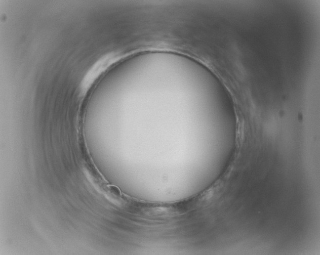 X0000051910151200507152040