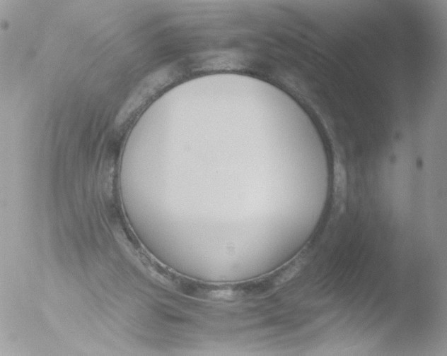 X0000051910153200507152040