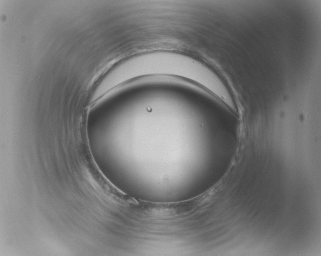 X0000051910154200507152040