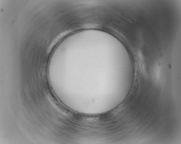 X0000051910155200507152040