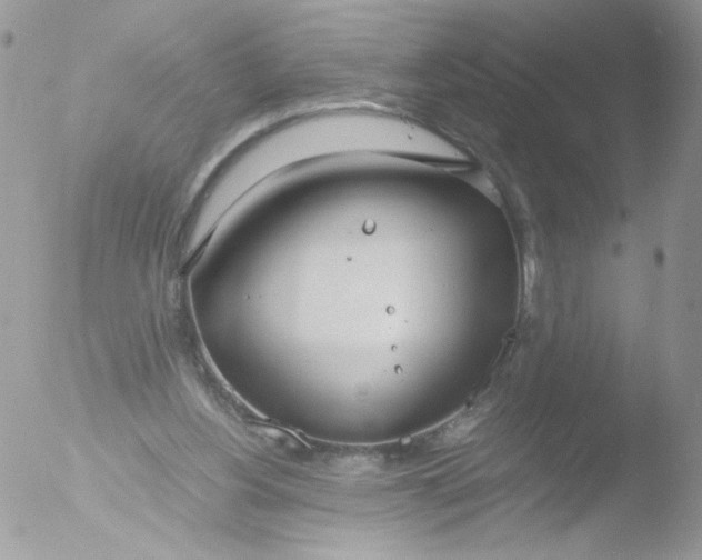 X0000051910156200507152040