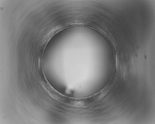 X0000051910157200507152040