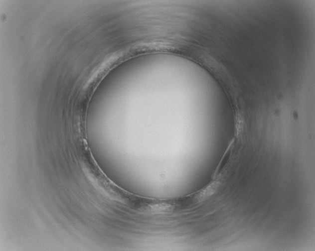 X0000051910158200507152040