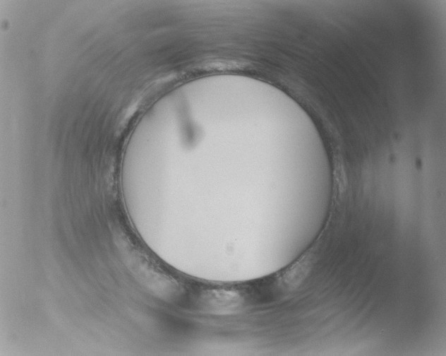 X0000051910159200507152040