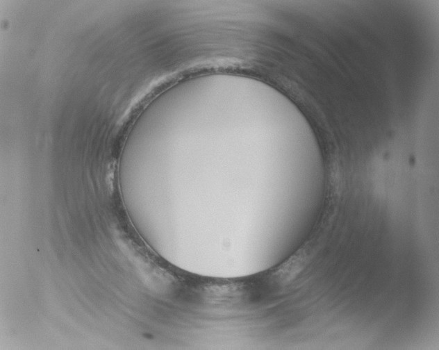 X0000051910160200507152040