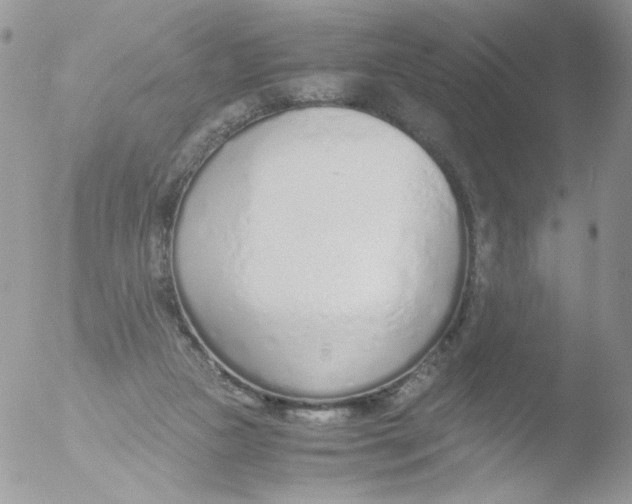 X0000051910161200507152040