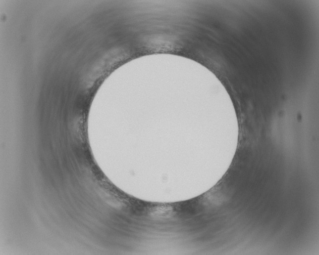 X0000051910162200507152040