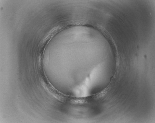 X0000051910163200507152040