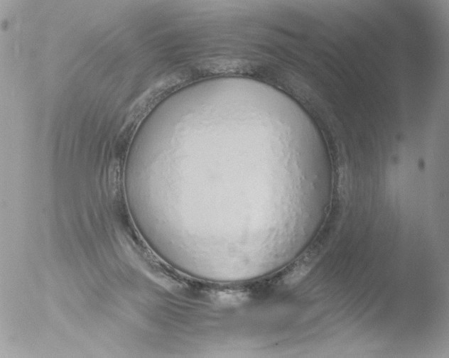 X0000051910165200507152040