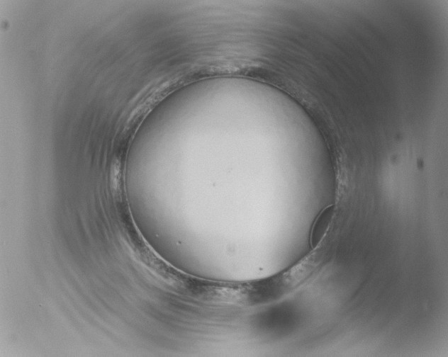 X0000051910166200507152040