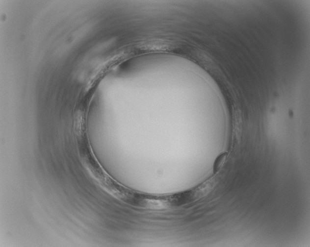 X0000051910167200507152040