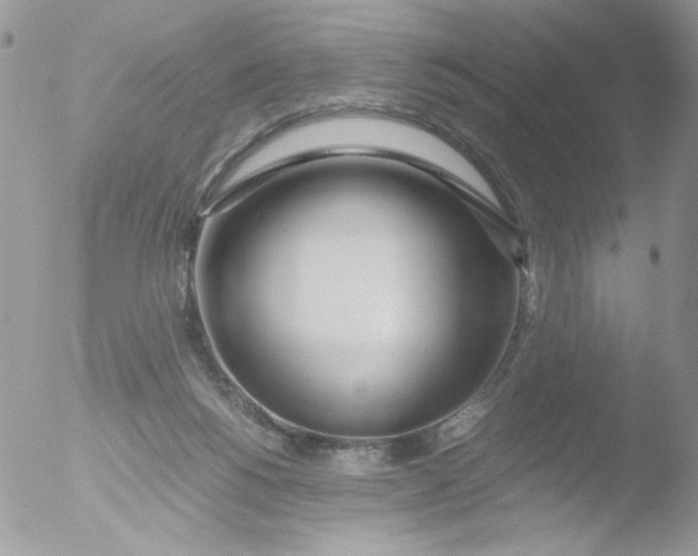 X0000051910168200507152040